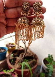 Golden Jhumka