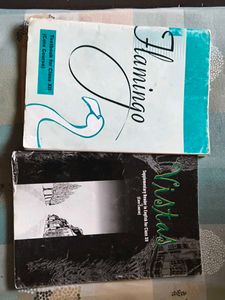Class XII English Textbooks Flamingo And Vistas