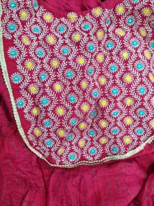 Elegant Rani Embroidered Kurta Set