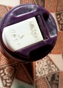 Milton Flask
