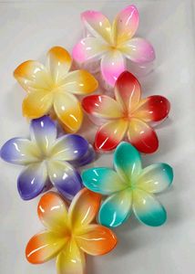 Colorful Flower Hair Clips