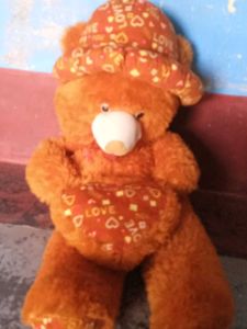 Teddy Bear