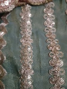 Green Embellished Lehenga Choli