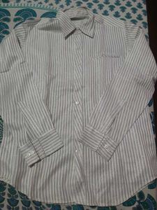 Mens Shirt