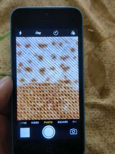 iPhone 5C Blue - Cracked Touch Screen