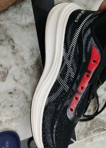 Asics Sports Shoe