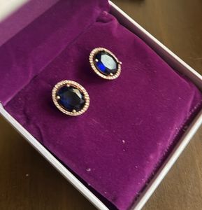Elegant Blue Stone Earrings