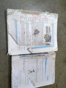 Class 9 Math Or Science