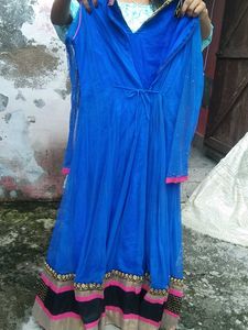 This Beautiful Net Gown