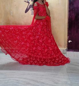 Red Elegant Gown