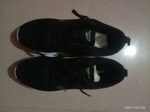 New Sport Shoes
