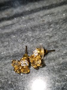Necklace With Earrings
