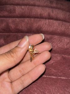 Pearl Drop Earrings