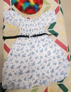 Floral Printed Puff Sleevs Dress