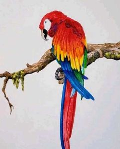 Bird Painting