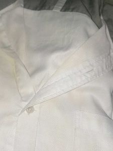Men's White Collared Shirt