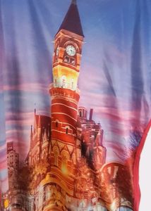 Multicolor Half Sleeve Tshirt