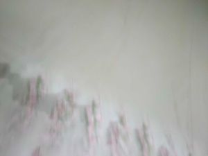 Floral Embroidered Fabric