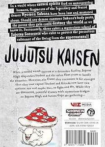 Jujutsu Kaisen, Vol. 2