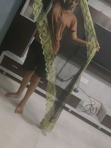 Peach Net Dupatta 100 per piece