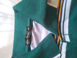 Polo tshirt For Men