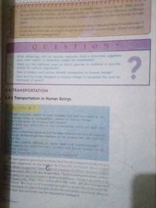 Ncert Math And Science Class 10