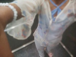 Sheer Top With Inner