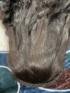 Hair For Hai Style