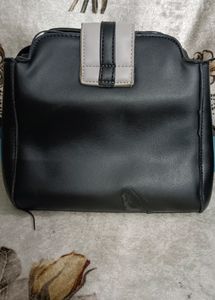 Black Purse