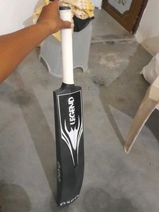 Legend Cricket Bat Heavy Plastic
