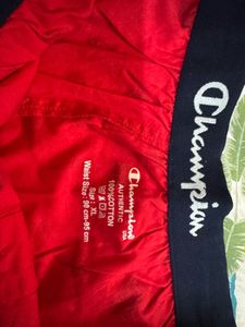 Champion Boxers