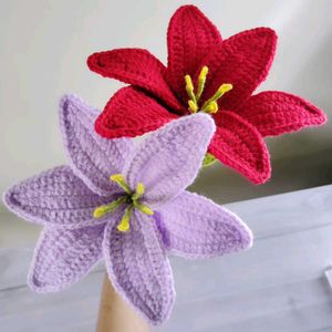 Beautiful Lily Flowers