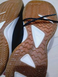 Puma Indoor Sports Shoes
