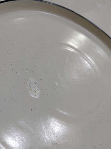 Ceramic Dinner Plates (Set of 2)