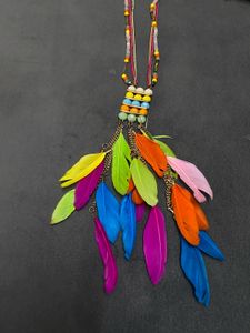 Feather Necklace &amp; Hair Clip