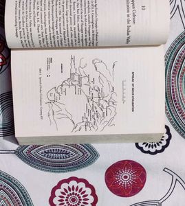 India&#39;s Ancient Past by R.S. Sharma