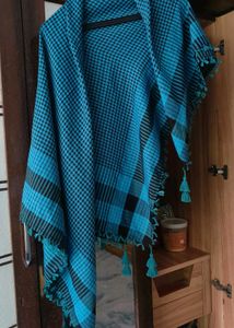 Blue Checked Scarf