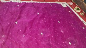 Net Saree With Designer Blouse