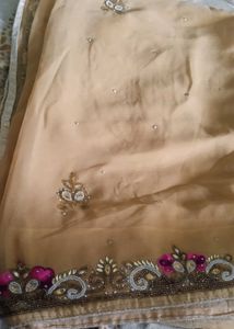Elegant Embellished Saree