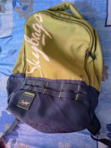 Skybags Backpack