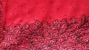 Red Embroidered Black Stone Saree