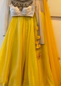 Embroidered Lehenga Choli