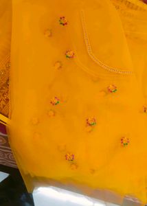 Net New With Teg Saree