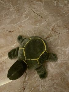 Cute Turtle Plush