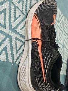 Puma Sport Shoes