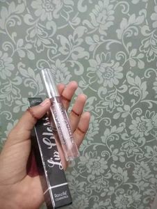 Lip Gloss
