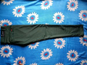 Pavillion 28 Size Pant
