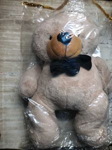 Teddy Bear 🧸🧸🧸