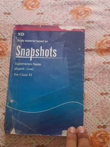 English Class 11 SNAPSHOT