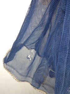 Elegant Blue &amp; Golden Gown